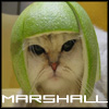 Avatar von MARSHALL